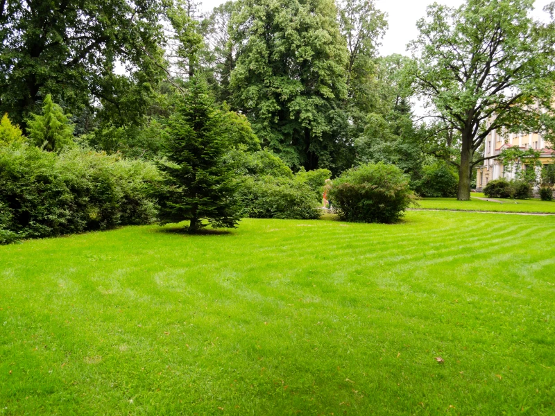 entretien d'espaces verts